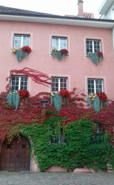 Betreuungsverein Ausflug der Ehrenamtlichen, Rathaus Engen