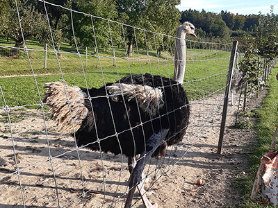 Betreuungsverein Ausflug der Mitglieder, Stockach